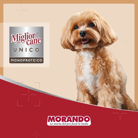 Влажный корм для собак Morando Migliorcane UNICO паштет из прошутто 100 g